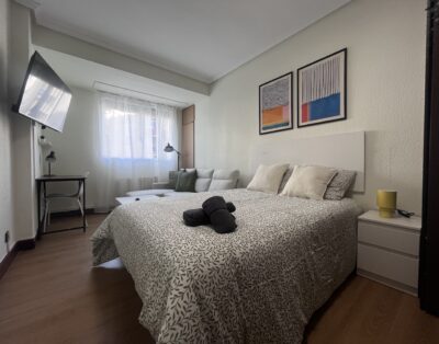 LI51A_H1 Habitación exterior con salón privado junto a la ría de Bilbao